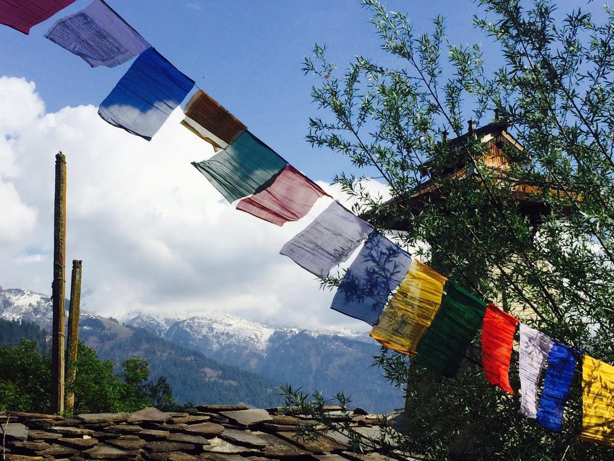 Bros Hostel Manali מראה חיצוני תמונה